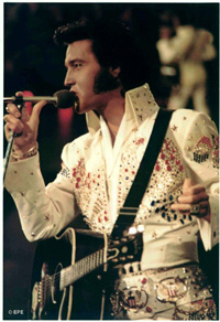 Elvis Costume Trims